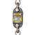 Dillon AWT05-506309 EDXtreme RED Dynamometer with two shackles & backlight & radio-ready 220000 x 5 Dillon AWT05-506309 EDXtr