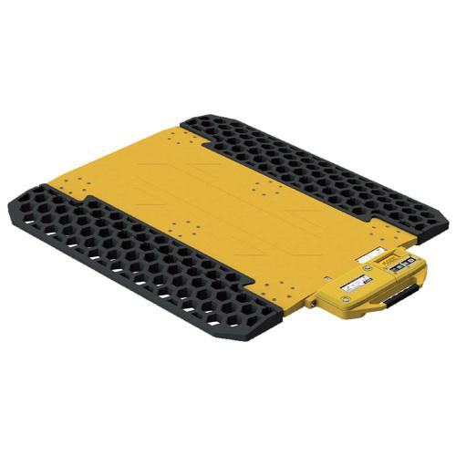 CAS RWT-505F Wireless Wheel Weighing Scale 10,000 x 5 lb