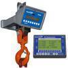 Intercomp CS1500RFX - 184512-RFX LCD Crane Scale w/Handheld RFX Indicator, 10000 x 5 Ib