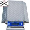 Intercomp 181506-RFX - PT300 W (Double Wide) Wheel Load Scales with Solar Panels, 5,000 x 5 lb