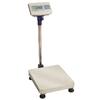 CCi SD931-75 - Bench / Floor Scale, 150 x  0.01lb