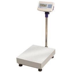 CCi SB731-300R  - Bench / Floor Scale, 660 x  0.05lb