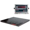 Rice Lake 155667 Roughdeck Floor Scale 4 x 4 Legal for Trade with 480 Indicator - 10000 x 2 lb Rice Lake 155667 Roughdec
