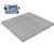 Cambridge 660608410S MODEL SS660-OB NTEP Low Profile 60x84x4 Stainless Steel Floor Scale 10000 x 2 l Cambridge 660608410S MODE