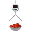 Detecto SCS30 Solar-Powered Hanging Scale