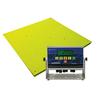 Fairbanks 93813 Yellow Jacket Legal For Trade Floor Scale With FB2250-SS 5000 x 1 lb Fairbanks 93813 Yellow Ja