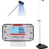 Detecto APEX-SH-UWA-AC Physician Scale With Sonar Height Rod AC adapter andWelch Allyn CVSM/CSM Legal For Trade 600 x 0.1 lb