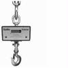 Chatillon DWT-05000 Digital Crane Scale, 5000 lb x 2 lb