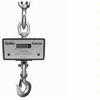 Chatillon DWT-10000 Digital Crane Scale, 10000 lb x 5 lb