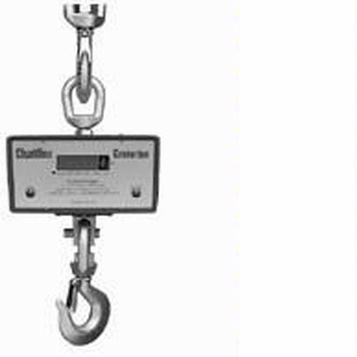 Chatillon DWT-500K Digital Crane Scale, 500 kg x 0.2 kg