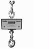 Chatillon DWT-1000K Digital Crane Scale, 1000 kg x 0.5 kg