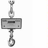 Chatillon DWT-02500K Digital Crane Scale, 2500 kg x 1 kg