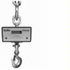 Chatillon DWT-05000K Digital Crane Scale, 5000 kg x 2 kg