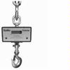 Chatillon DWT-10000K Digital Crane Scale, 10000 kg x 5 kg