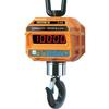 CAS 15-THD Caston III Digital Crane Scale, 30000 lbs x 10 lb