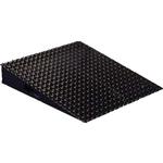 Rice Lake 43376 500 - 1000 lb Ramp for DeckHand Rough-n-Ready 25 x 27 inch