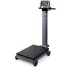 Rice Lake RL1200 EM Electromechanical NTEP Portable Beam Scale - 1000 lb x 0.5 lb