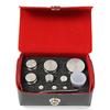 Troemner TW-100-01W (30390527) Metric Weight Set 100 g-1 mg with NVLAP Cert  Class F