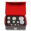 Troemner TW-100-1W (30390529) Metric Weight Set 100 g-1 g with NVLAP Cert  Class F