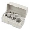 Troemner 312S (30390966) Metric Weight Set 500 g-1 g  Class 7