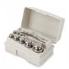 Troemner 311S (30390969) Metric Weight Set 100 g-1 g  Class 7