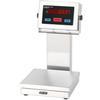 Doran 7010XL-C14  Legal For Trade Bench Scale with 10 x 10 inch Base and 14 inch Column 10 x 0.002 lb