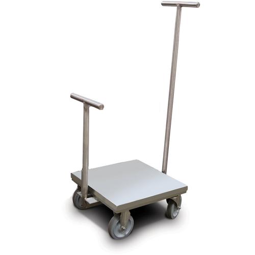 Rice Lake 180033 Class 6 ASTM Clean Room Weight Cart 100 kg