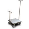 Rice Lake 180034 Class 6 ASTM Clean Room Weight Cart 500 kg