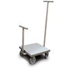 Rice Lake 178045WITHTC with Accredited Certificate Class 6 ASTM Clean Room Weight Cart 50 kg