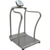 Rice Lake 250-10-4 Bariatric Handrail Scale with Seat - Scales Plus