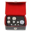 Troemner SW-5M (80864209) Metric Sealer Weight Set 300 g-10 g  Class F