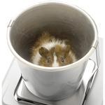AND Weighing GXA-12 Animal Weighing Pan for Apollo Series Models of 320g Capacity or Higher