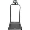 Health-O-Meter 3001KG-AM Antimicrobial Digital Platform Scale KG Only 454 x 0.1 kg