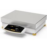 Sartorius