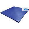 Adam Equipment PT-115 [AE503] Printing Floor 59.1in x 59.1in Scale (AE-503 Indicator), 2500 x 0.5 lb