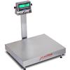 Detecto EB-300-185B Rival Stainless Steel Legal for Trade Bench Scale 300 x 0.1 lb