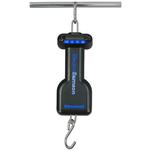 Salter Brecknell ES-22 ElectroSamson Digital Hanging Scales, 22 x 0.02 lb