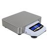 Detecto DP-15000 Digital Precision Balance Scale - 15 kg x 0.05 g