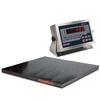 Rice Lake 168140 Roughdeck Floor Scale 4 x 4 Legal for Trade with 480 Plus Indicator - 5000 x 1 lb Rice Lake 168140 Roughdec