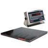 Rice Lake 168140 Roughdeck Floor Scale 4 x 4 Legal for Trade with 480 Plus Indicator - 5000 x 1 lb