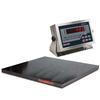 Rice Lake 168141 Roughdeck Floor Scale 4 x 4 Legal for Trade with 480 Plus Indicator - 10000 x 2 lb Rice Lake 168141 Roughdec