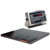 Rice Lake 168141 Roughdeck Floor Scale 4 x 4 Legal for Trade with 480 Plus Indicator - 10000 x 2 lb