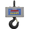 Cambridge CSW-10AT-CS-500 Legal for Trade Crane Scale 500 X 0.1 lb