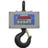 Cambridge CSW-10AT-CS-1K  Legal for Trade Crane Scale 1000 X 0.2 lb