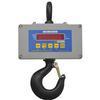 Cambridge CSW-10AT-CS-2K  Legal for Trade Crane Scale  2000 X 0.5 lb