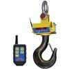 Cambridge ASCS-15AT-RFL-10K Heavy Duty Crane Scale with Radio Frequency Link 10000 x 2 lb