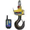 Cambridge ASCS-15AT-RFL-50K Heavy Duty Crane Scale with Radio Frequency Link 50000 x 10 lb