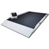 Rice Lake 350-10-8SBLE Digital Stretcher Scale with BlueTooth- 1,000 lb x 0.2 lb (450 kg x 0.1 kg)
