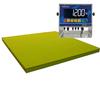 Fairbanks 38399 Yellow Jacket Legal For Trade Floor Scale With Stainless steel FB1200 Indicator 250 Fairbanks 38399 Yellow Ja