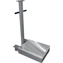 CAS TR2S-1000C Transit 2 Mild Steel 18 x 24 Platform 1000 x 0.2 lb (No Indicator)